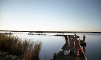 Crabbing In The Gulf